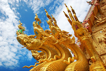 Fototapeta premium Golden big snake