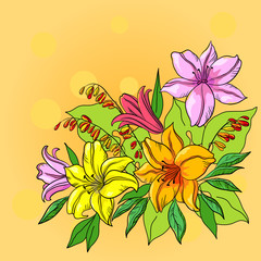 Flower background, lily and mine
