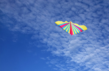 colourful Kite in the fluffy sky