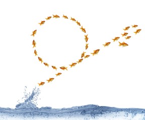 executing after loop jump fish