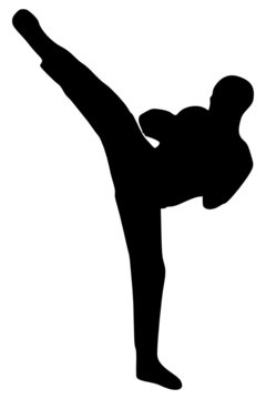 Boxe fran&ccedil;aise