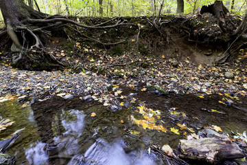 creek in fall time