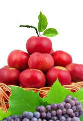 .Basket of apples