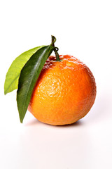 mandarine