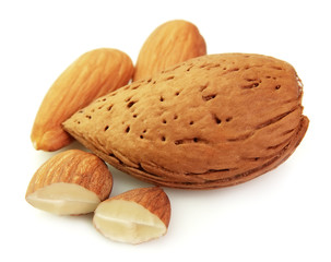 Dried almond
