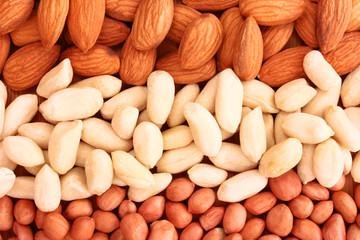Different types of nuts