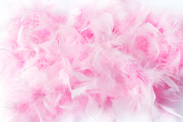pink feather boa