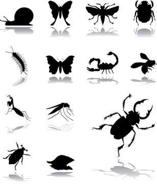 Set icons - 145. Insects