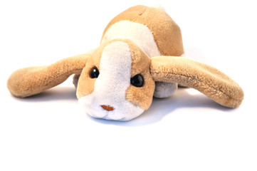 Cagnolino di peluche