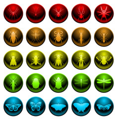 Spider and insect icon set