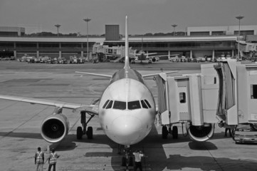 aircraft link parked in the airport