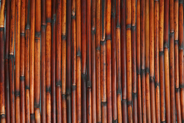 Bamboo texture