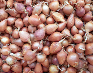 Onions closeup, background