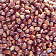 delicious chestnuts closeup, background