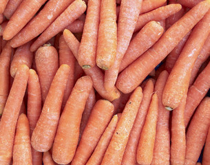 fresh carrots closeup, background