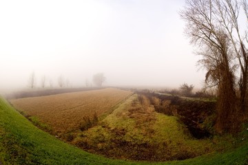 Fototapeta na wymiar mgła series4