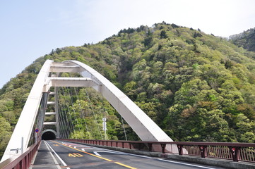 新緑の橋