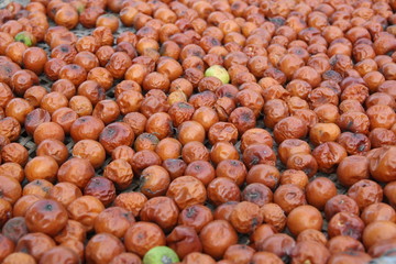ripe jujube