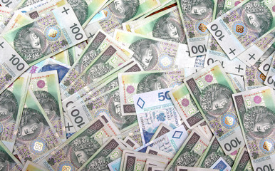 Polish money, financial background
