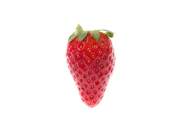 Erdbeeren 004