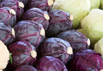 Fototapeta na wymiar Blue and white cabbage
