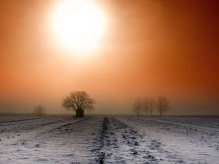 Beautiful winter landscape at sunset with fog and snow