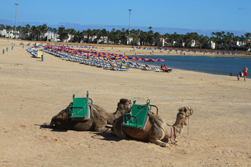 Fuerteventura