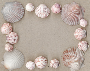 Scallop Shell Frame