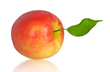 Red apple