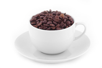 coffee beans in cup