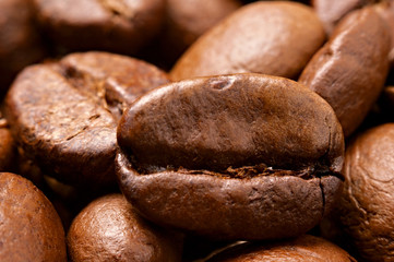 Close-up of Coffee Beans