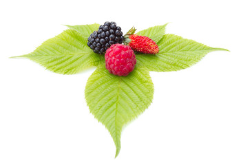 strawberry, blackberry and raspberry on leaf