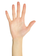 hand