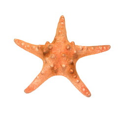 Orange Starfish isolated over white
