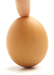 egg
