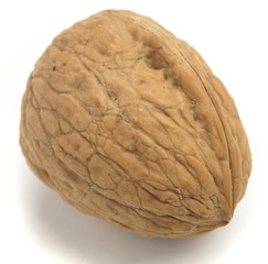 walnut