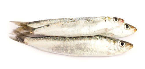 raw fish