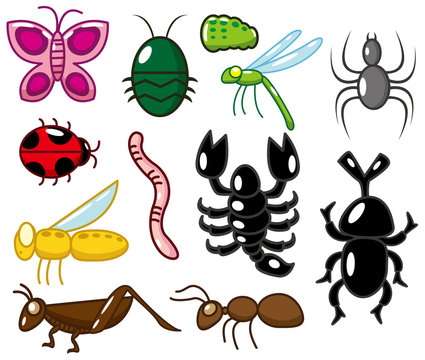 cartoon insect  icon
