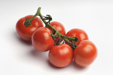 Strauchtomaten