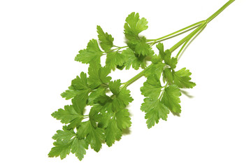 parsley