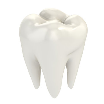 isolated tooth 3d illustration