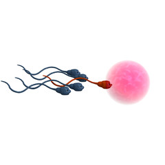 funny cartoon rendering of sperm. 3D rendering with clipping