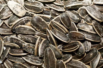 Sunflower seeds