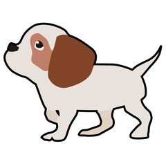 子犬