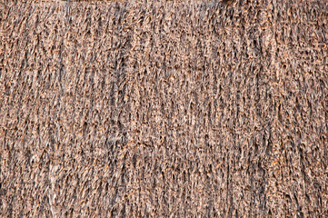 thatch background