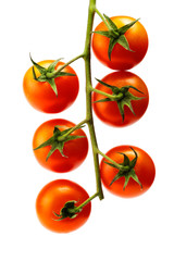 heap of cherry tomatoes