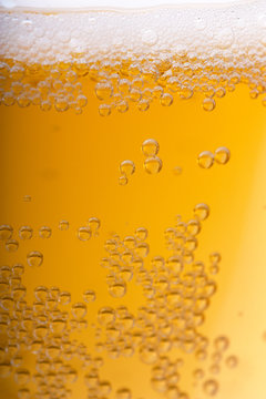 Beer background