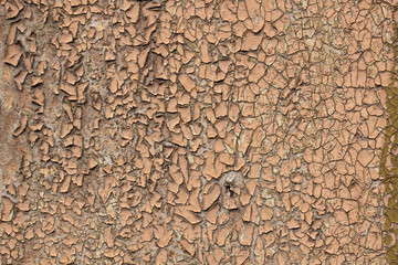 Naklejka premium Old paint