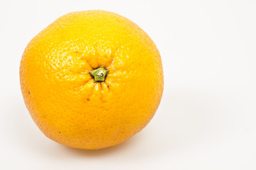 Orange fruit