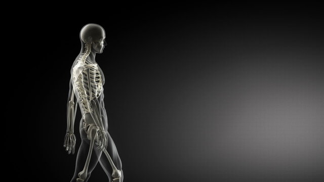 Good posture concept